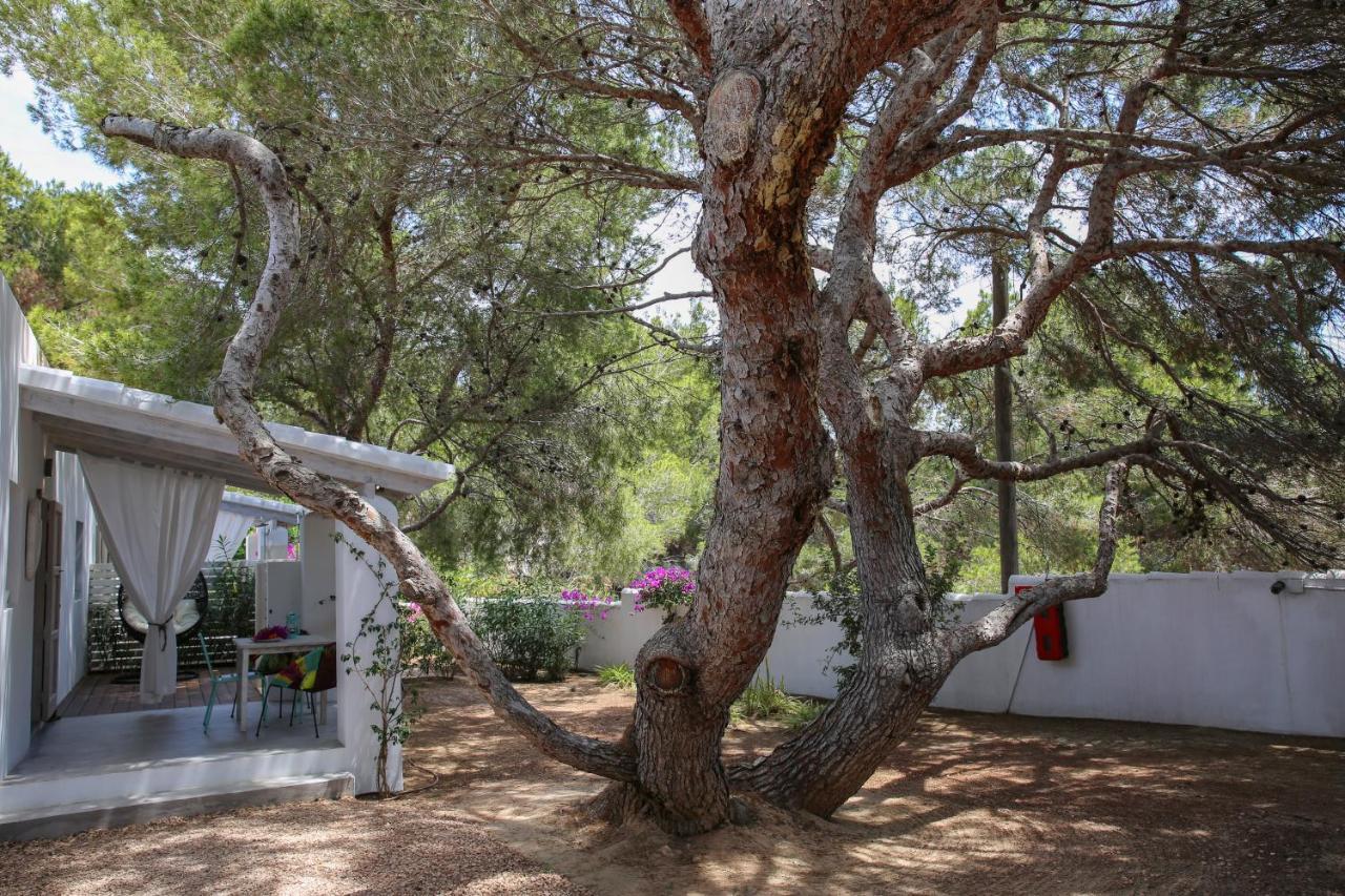 Aparthotel La Hacienda San Ferrán de ses Roques Exteriér fotografie